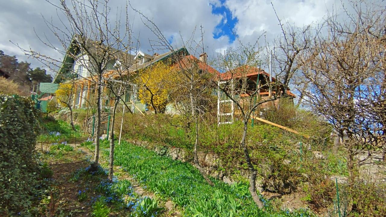 Villa Kuschmann Brasov Bagian luar foto