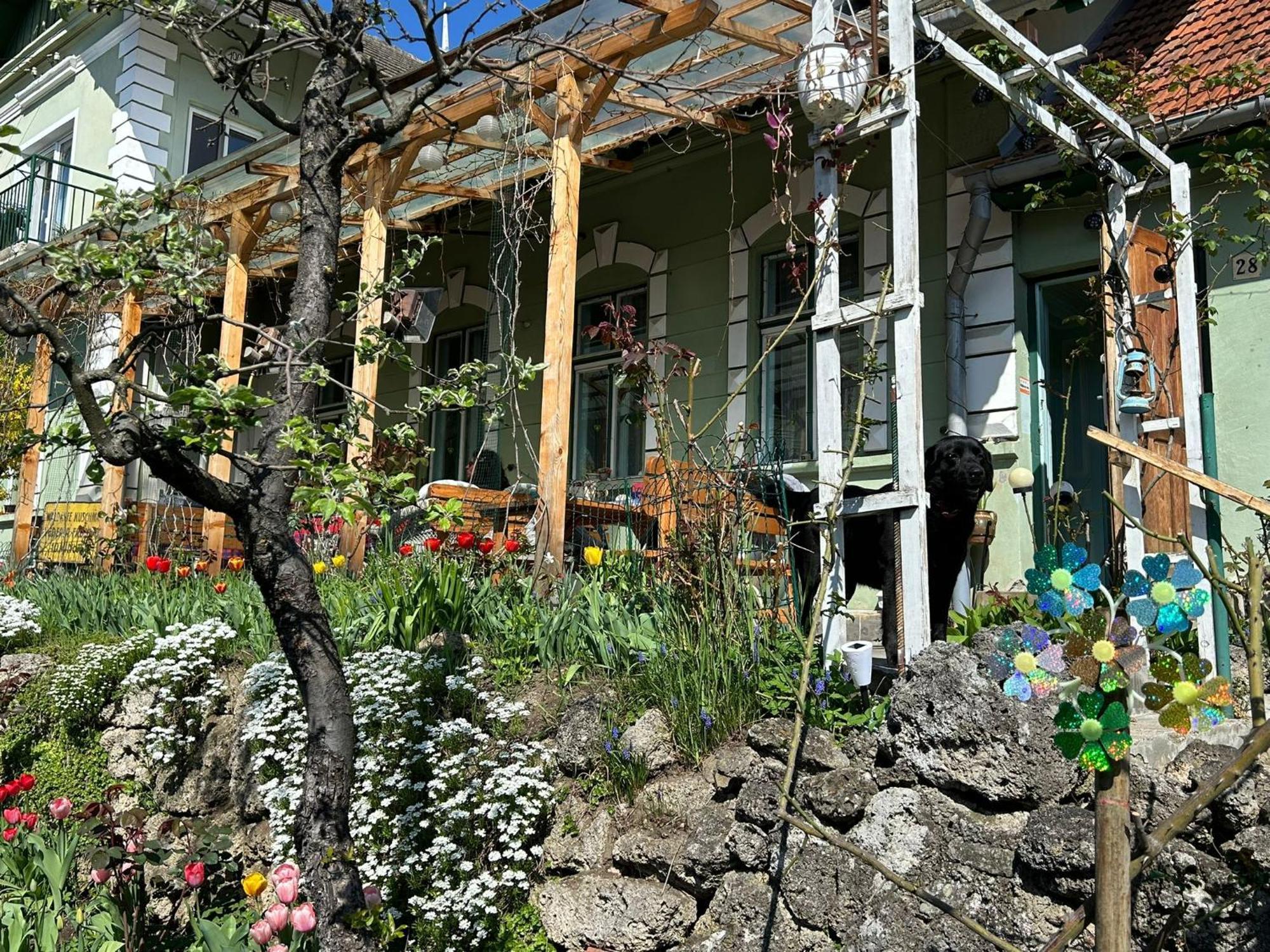 Villa Kuschmann Brasov Bagian luar foto